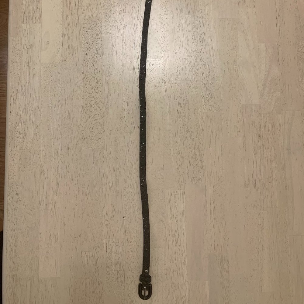 VINTAGE 70's Sparkly Skinny Belt